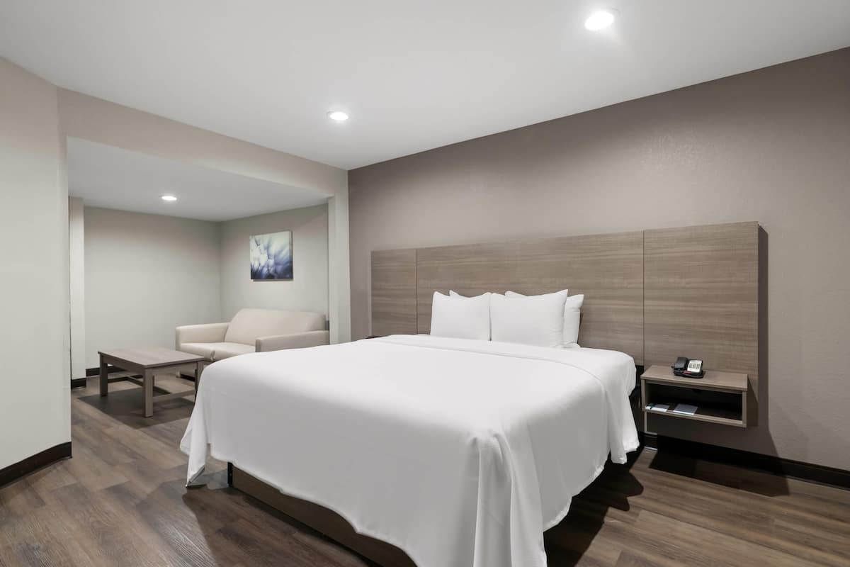 Une chambre d’hôtel avec un grand lit, un canapé, une petite table, une table de chevet avec un téléphone et un tableau au mur.