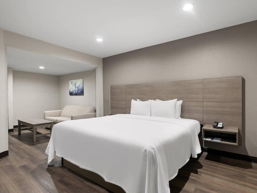 Skrivbord, mörkläggningsgardiner, strykjärn/strykbräda och gratis wi-fi