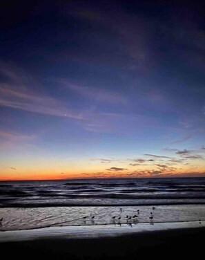 Playa