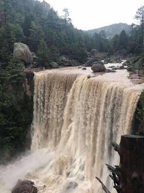 Ecotours - Sierra Lodge Cusárare (Guachochi)