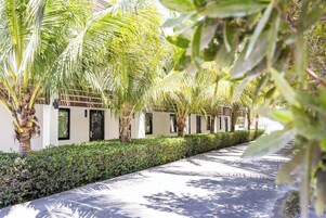 Un sendero bordeado de palmeras y un seto, que conduce a un edificio de diseño moderno y techo plano.