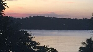 Un lago tranquilo rodeado de densa vegetación.