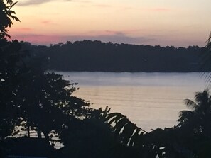 Un lago tranquilo rodeado de densa vegetación.