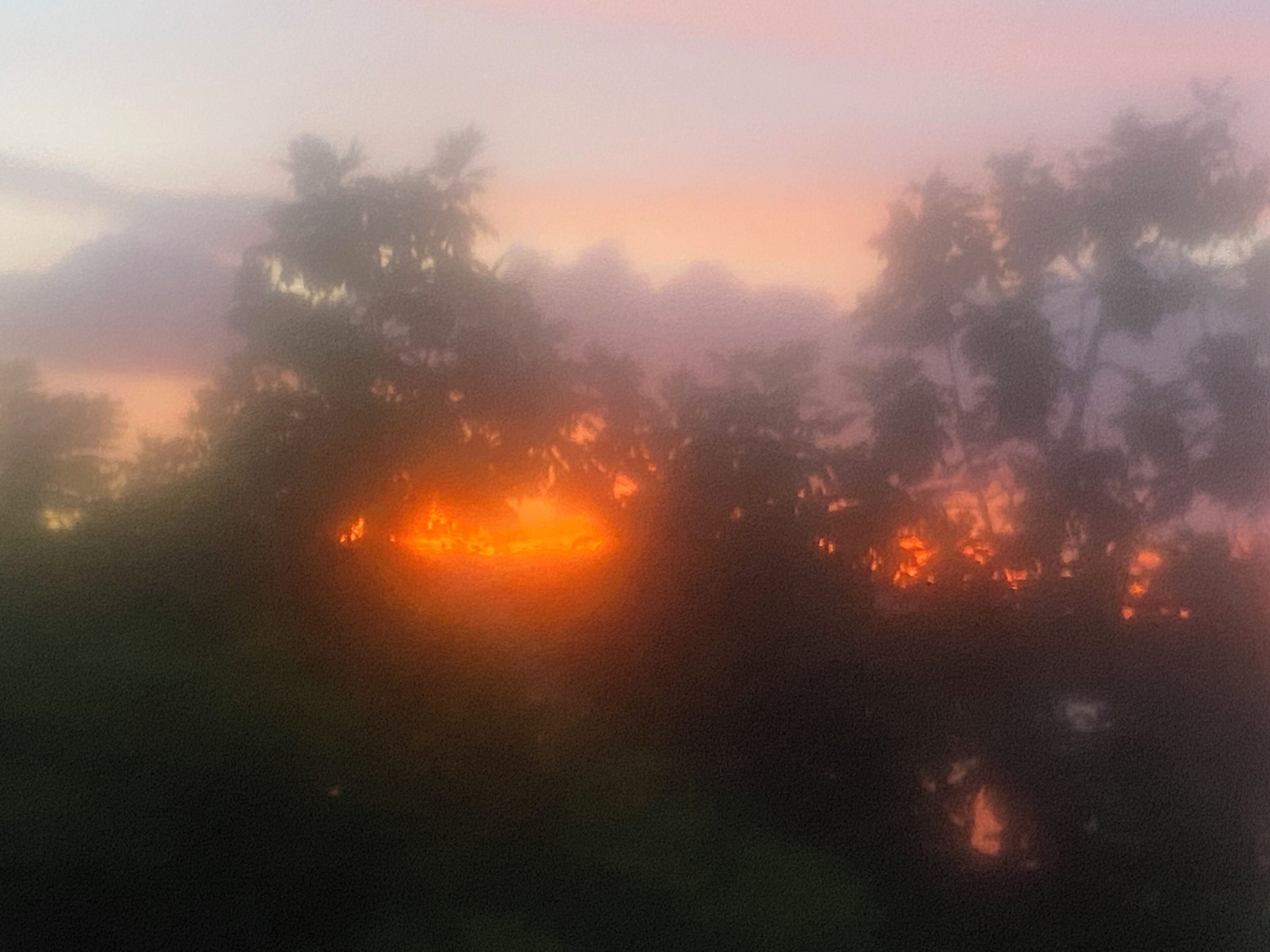Vista de árboles y un atardecer.