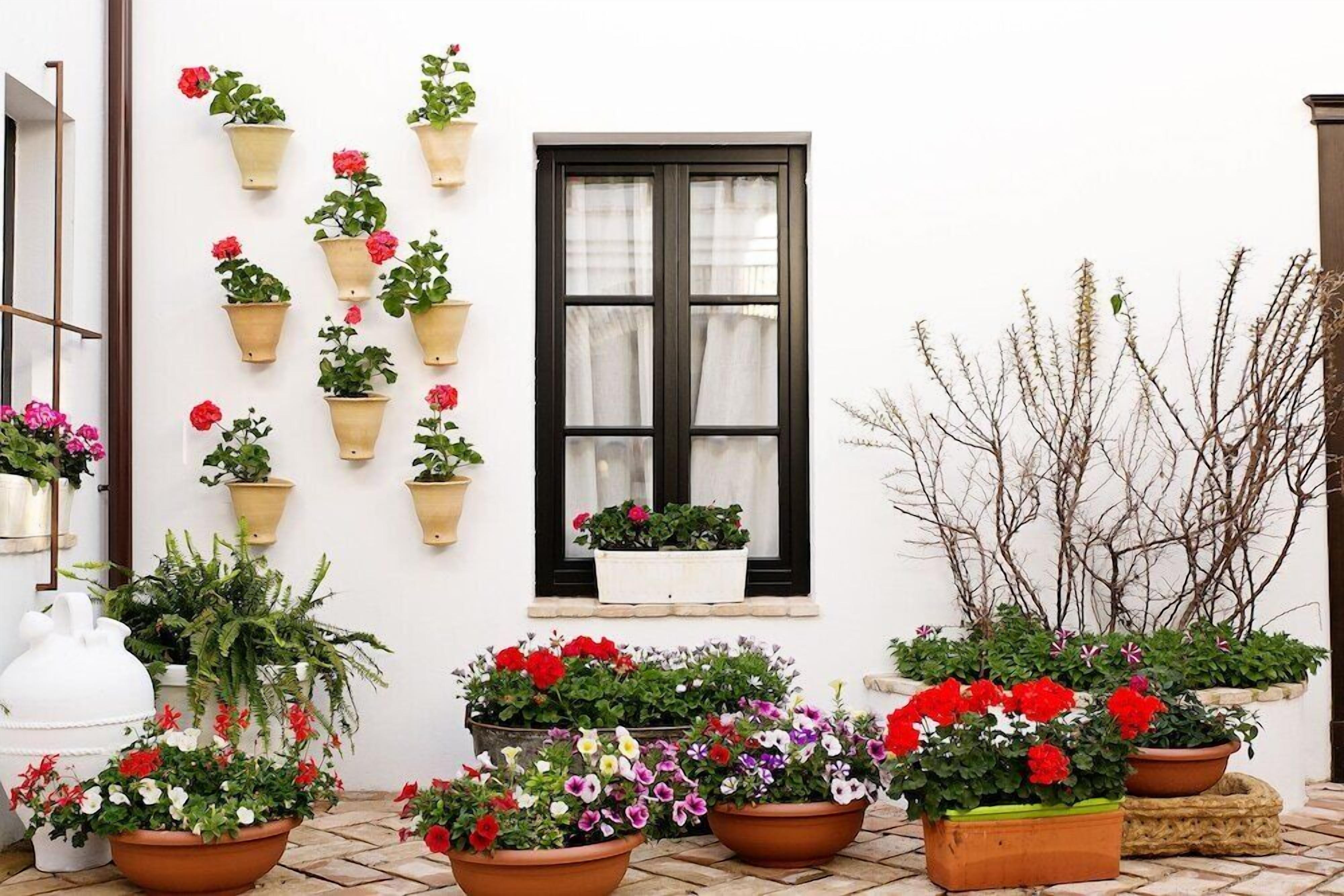 Detalle del exterior