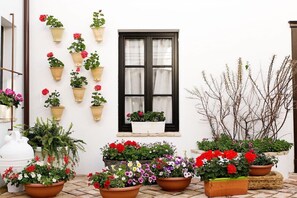 Detall de l'exterior