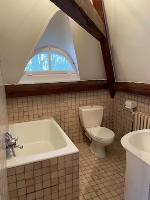 Bathtub, towels, soap, toilet paper