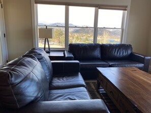 TV, fireplace, books