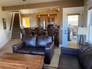 TV, fireplace, books