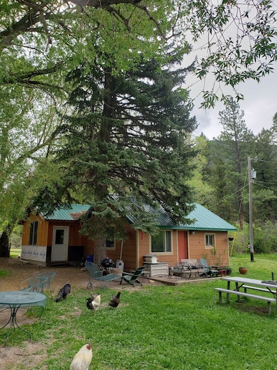 Birders delight! Beautiful hiking! Mountain biking! Fishing!