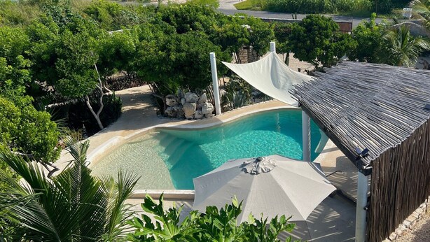 A swimming pool with a white canopy and a wooden fence, surrounded by lush greenery.