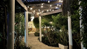A covered outdoor pathway with string lights, surrounded by plants and columns.