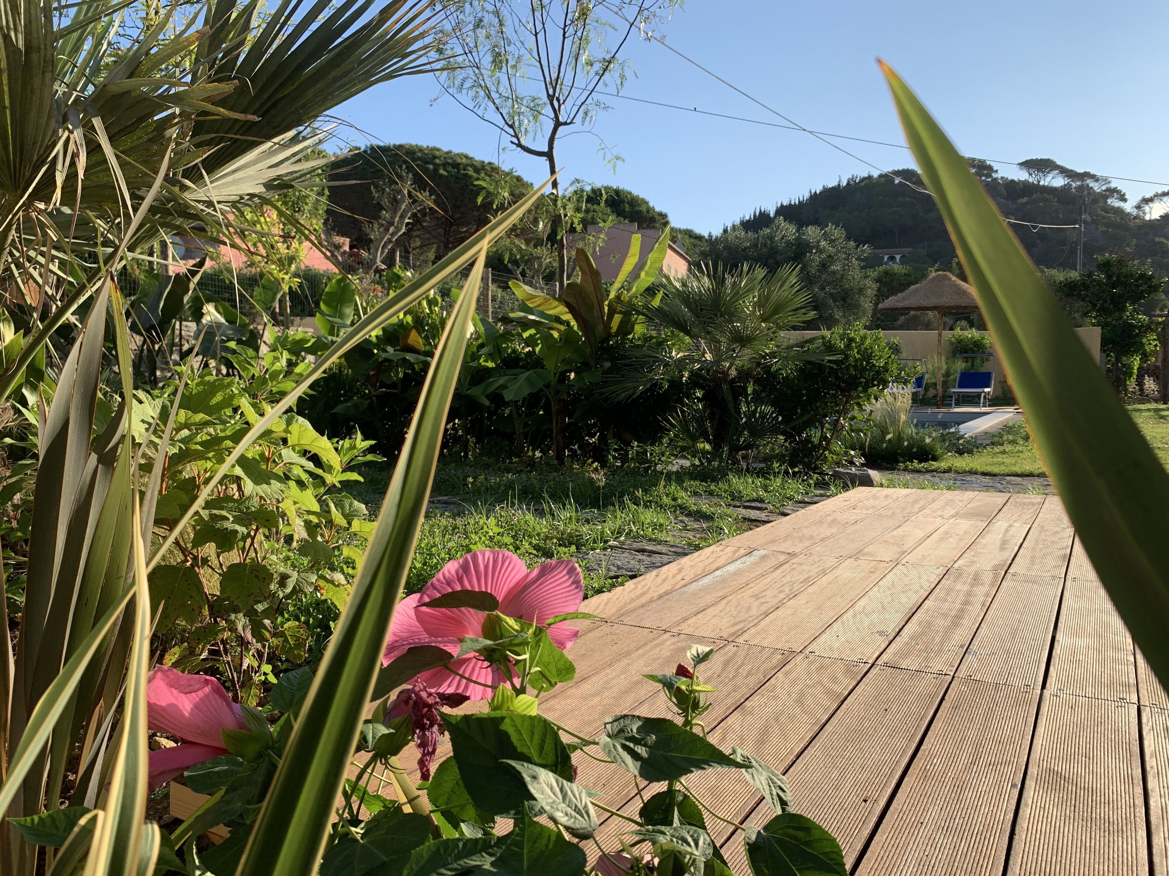 Terrein van de accommodatie