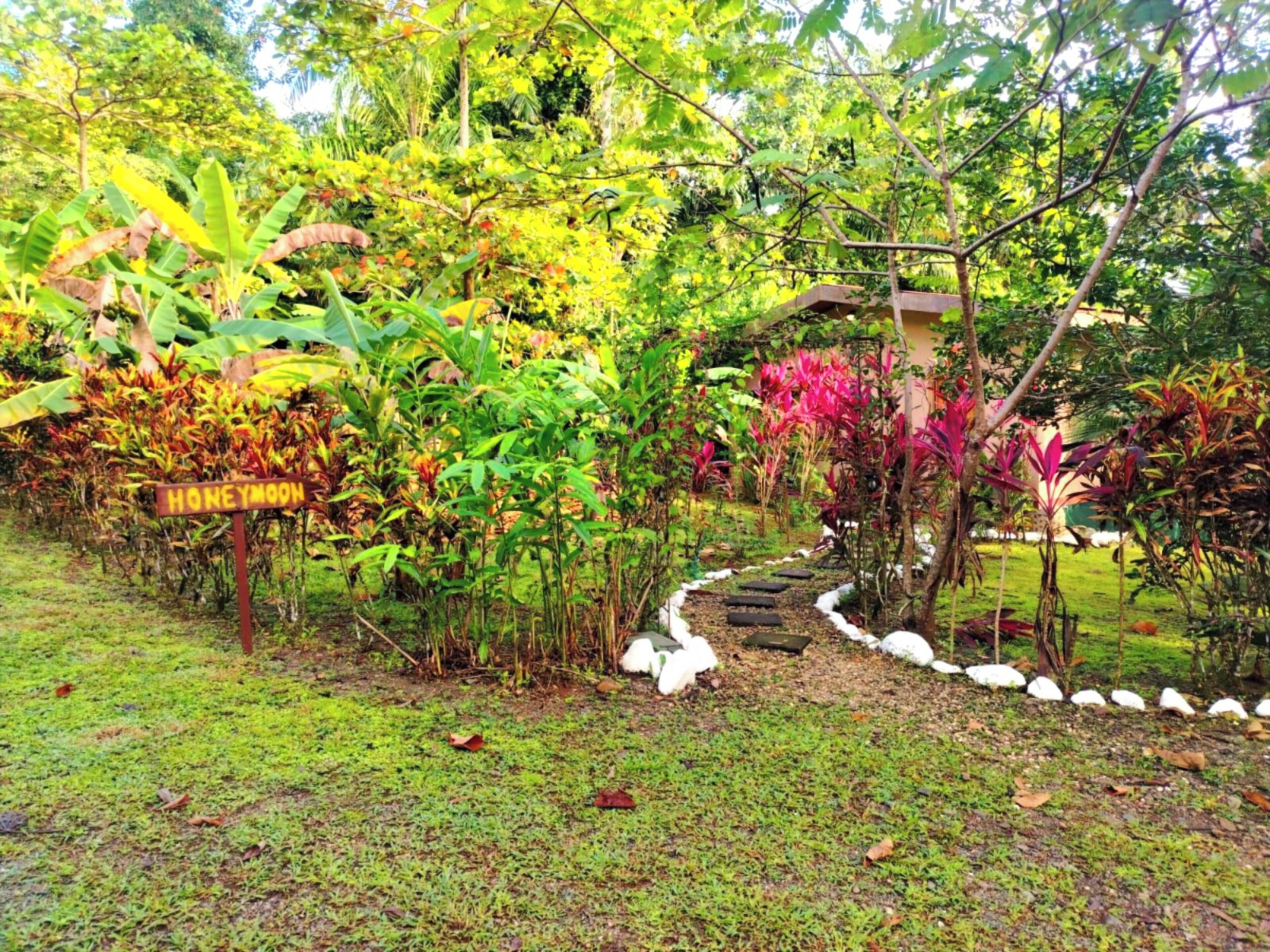 Un jardín exuberante con un cartel que dice 'HONEYMOON' guiando hacia un sendero.