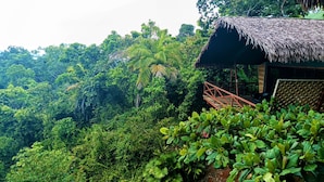 A thatched-roof structure with a wooden bridge leading to a platform, surrounded by dense tropical foliage. - Corcovado Private Villas (Puerto Jiménez)