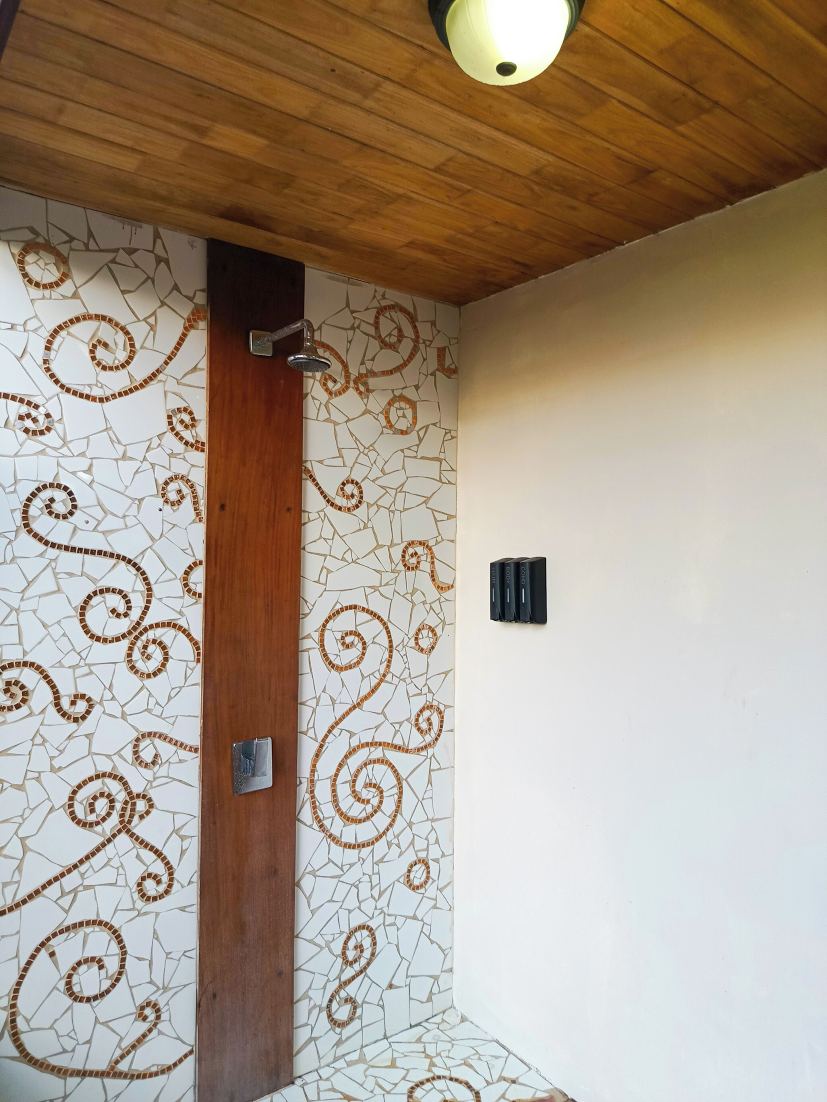 A bathroom with a mosaic wall design, a wooden door, and a ceiling light fixture.