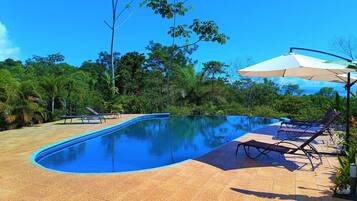 Outdoor pool, open 6:30 AM to 6:00 PM, pool umbrellas, sun loungers