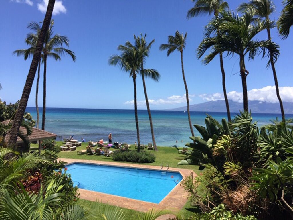Oceanfront Condo in Paradise-Hale Mahina “mauiseaturtlecondo"