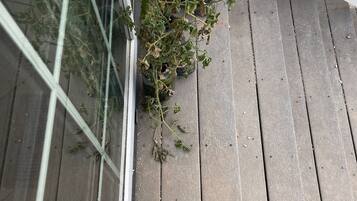 DĂ©tail de lâextĂ©rieur