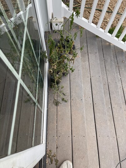 If you look for fishing and shopping this is your place