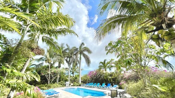 A pool area with lounge chairs, surrounded by palm trees and tropical plants. - Villa Diez, Pool & Boat Charters (Grace Bay)