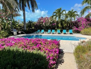 Piscine extérieure
