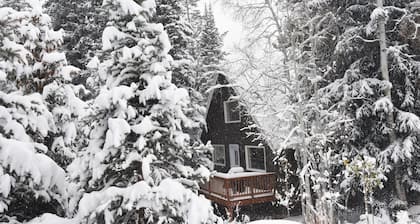 Charming, Modern Cabin-A house in Vail all to yourself!