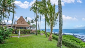 Un resort tropical con un edificio de techo de paja, rodeado de palmeras y vista al océano.
