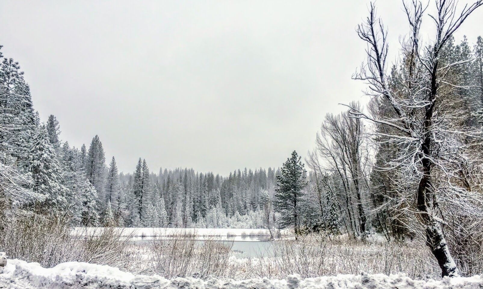 A snowy landscape with a lake, trees, and a clear sky.