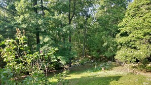 A natural outdoor area with a grassy path, trees, and a small pond. - The Great Adventure (McGaheysville)