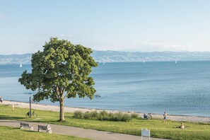 En park med ett stort träd, bänkar, en cykel och utsikt över vattnet med båtar.