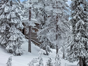 Una cabaña de troncos rodeada de árboles cubiertos de nieve.