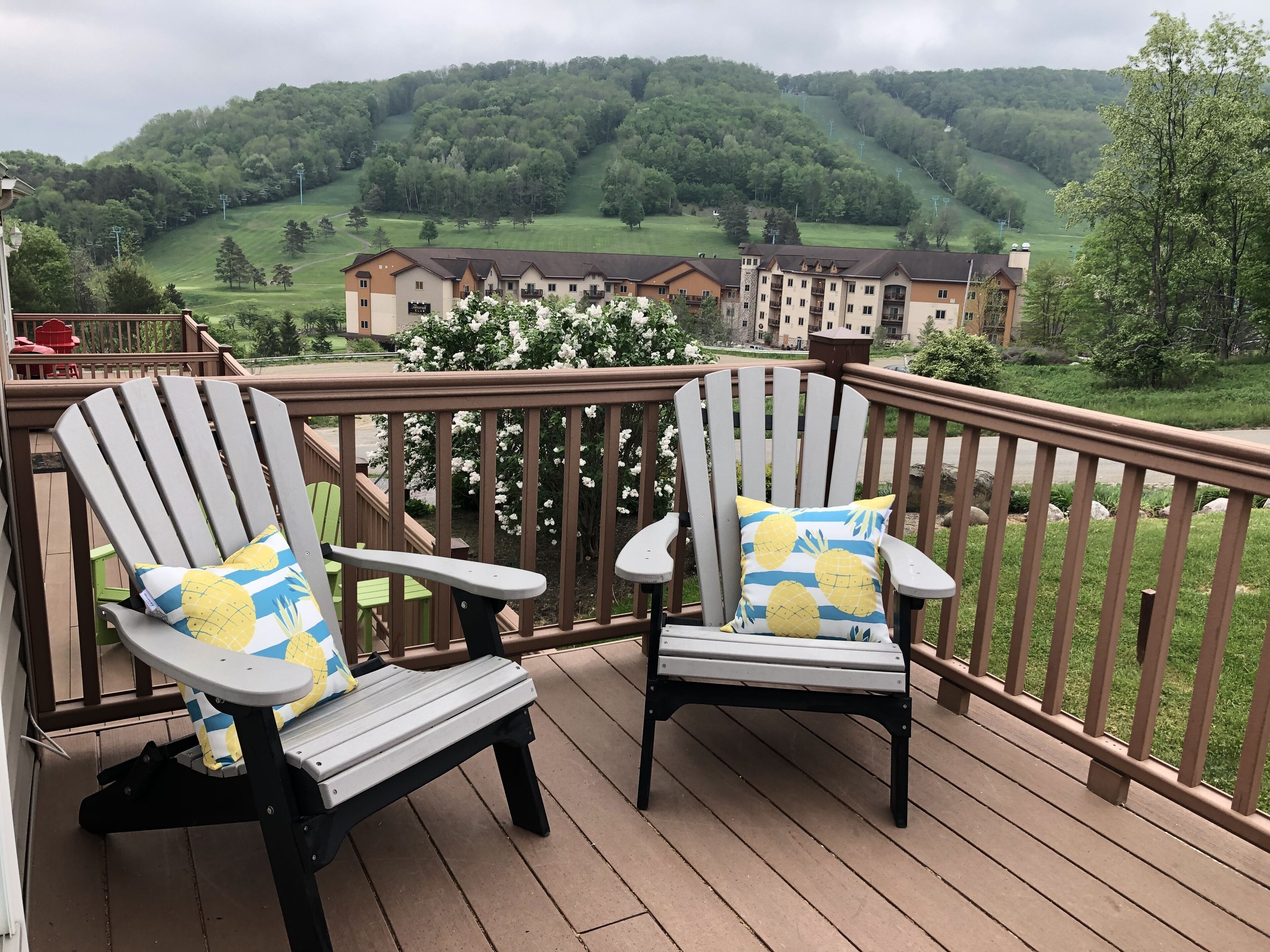 ❄️⛷A short walk to Holiday Valley adventures and 1 mile from the village🏂❄️