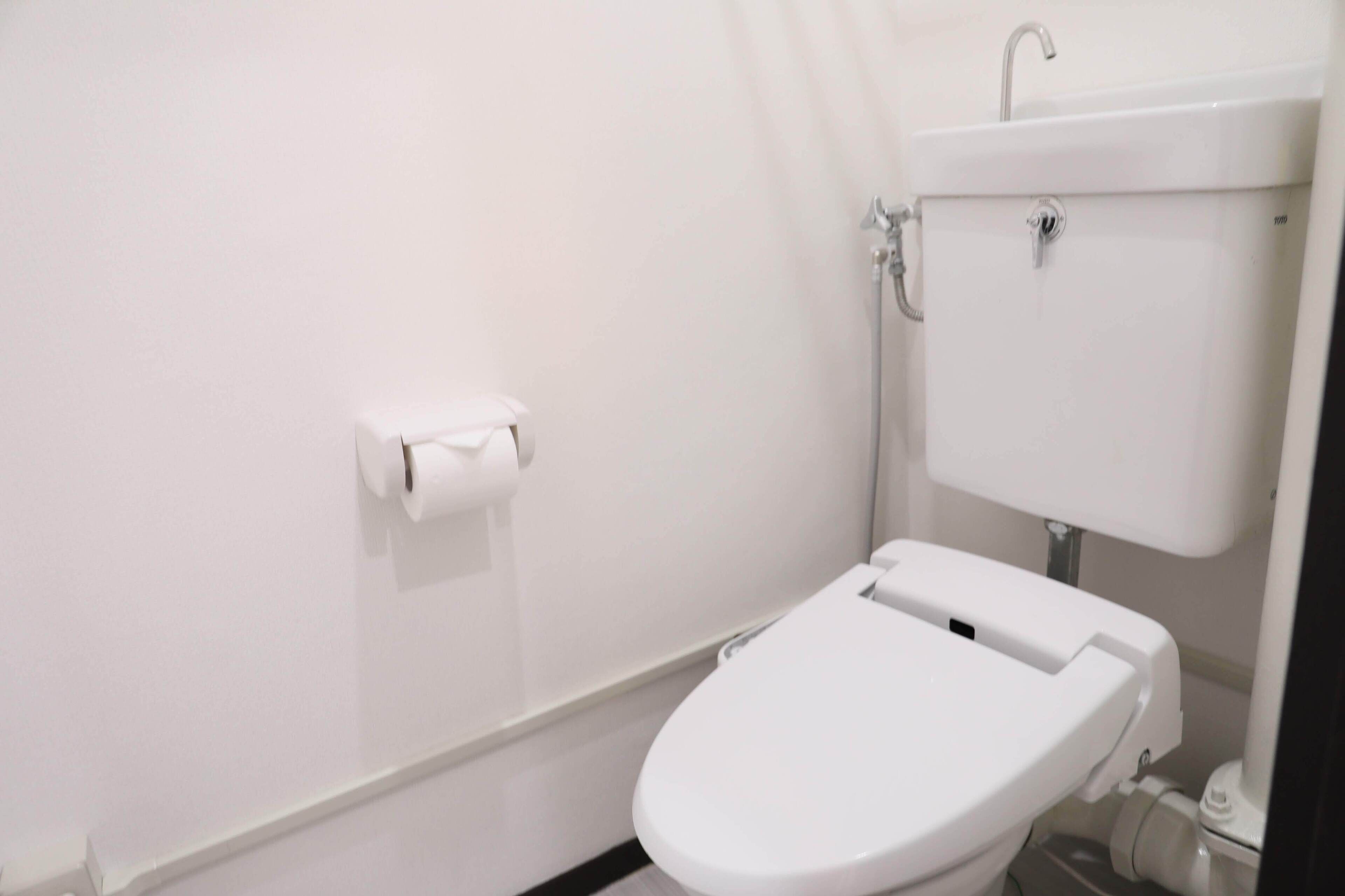 Een kleine, witte badkamer met een toilet, een wastafel en een wc-rolhouder.