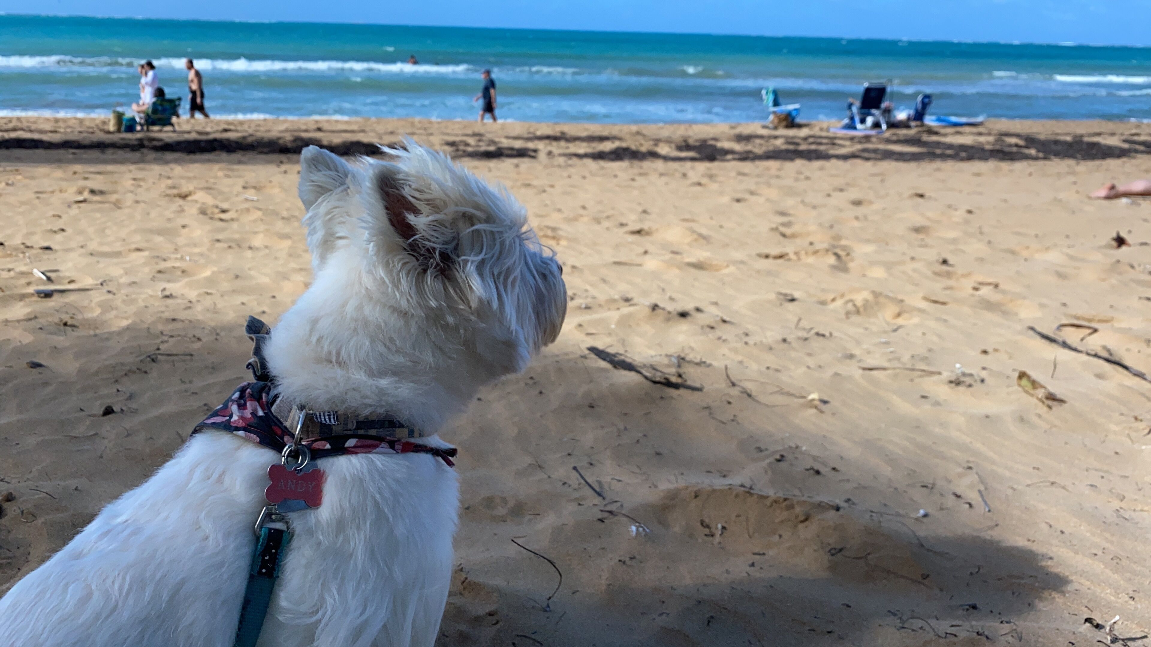 Am Strand