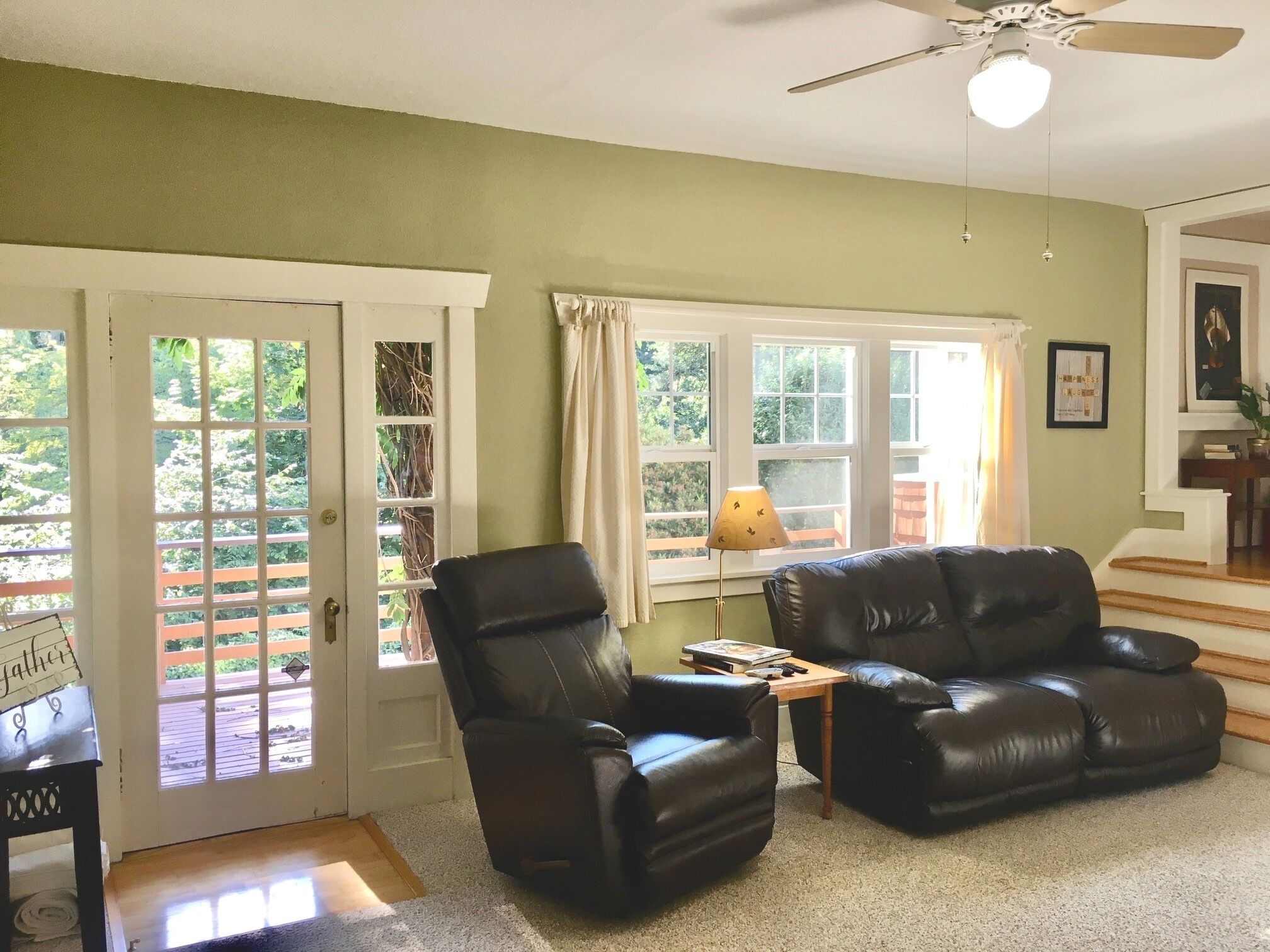 Smart TV, fireplace, DVD player, books