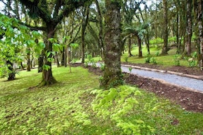 Parco della struttura