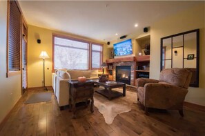 TV connectée, cheminée, livres, vidéothèque