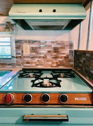 Comfort Mobile Home, 2 Twin Beds, Mountain View, Garden Area, Non Smoking | Private kitchen