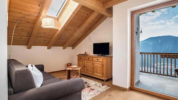 Fernseher
