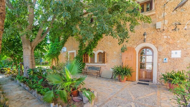 Un patio con suelo de piedra, plantas en macetas y un edificio con puertas arqueadas.
