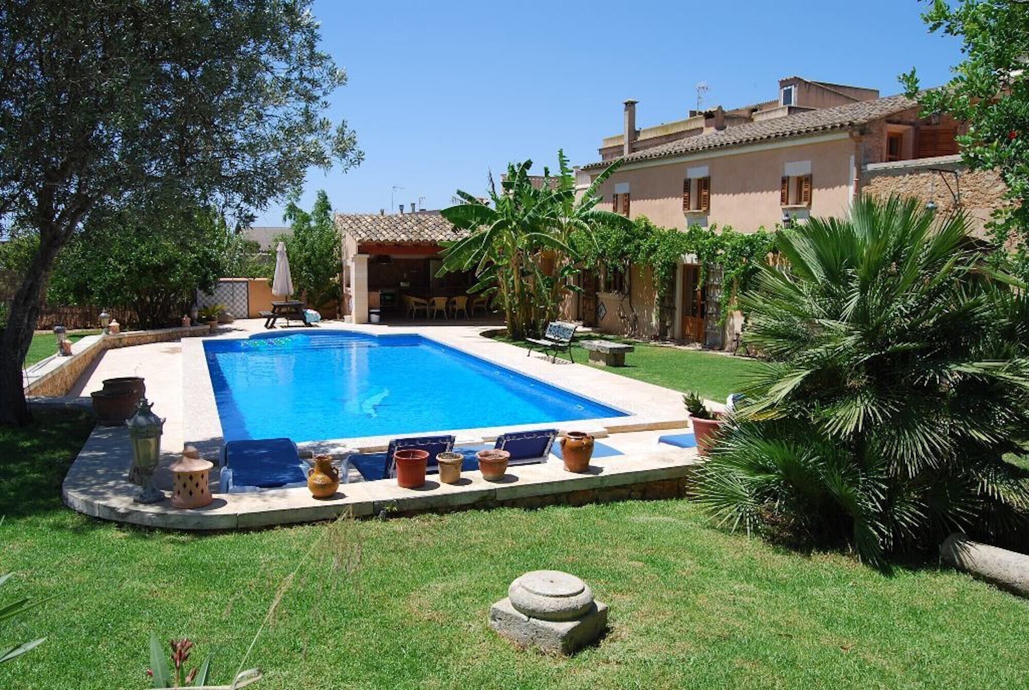 Una piscina con bordo piastrellato, circondata da un prato curato e palme.