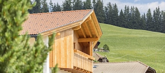 Holiday Apartment "Ciasa Silvia" with Mountain View & Wi-Fi