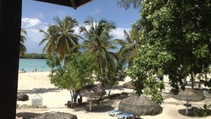 Een strand met palmbomen, strandparasols en ligbedden.