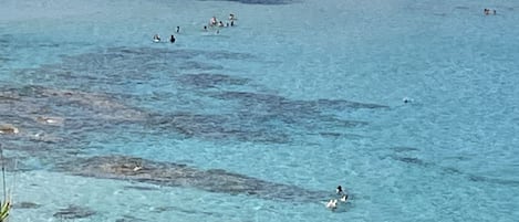 在海灘附近