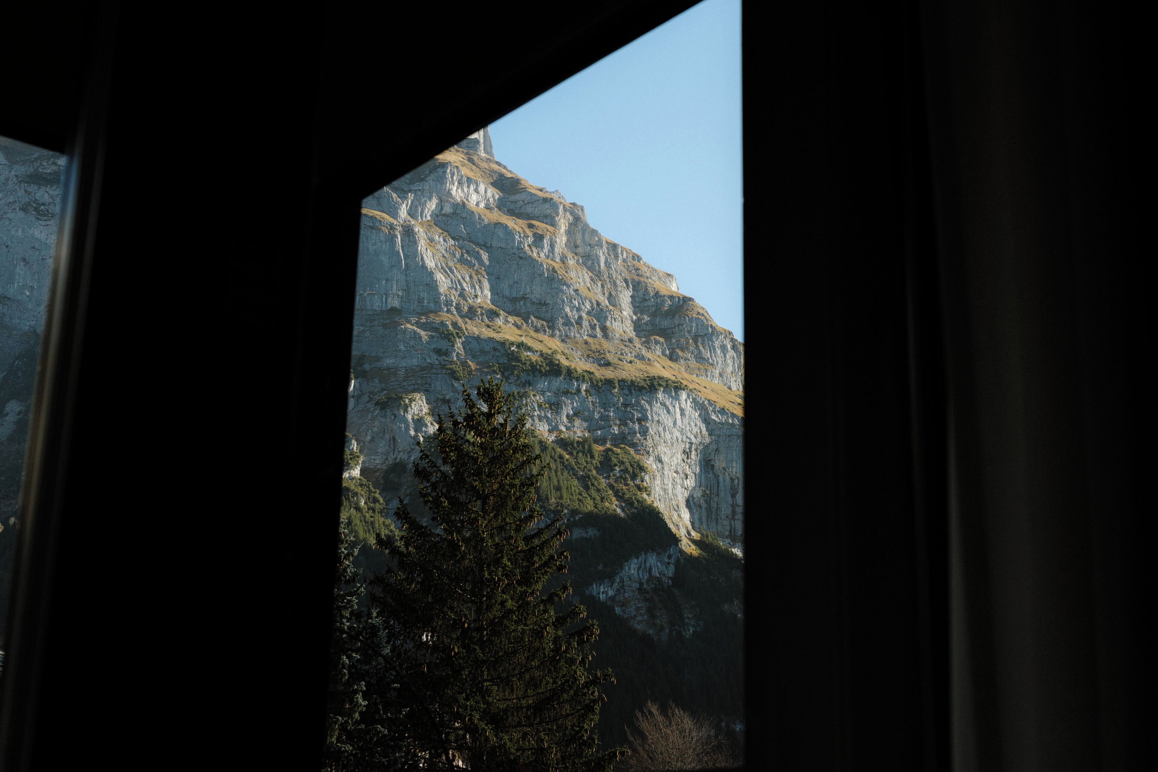 A mountain landscape through a window with a tree in the foreground.