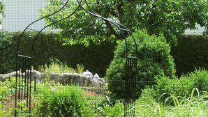 Un jardí exuberant amb diverses plantes i una estructura de graella metàl·lica.