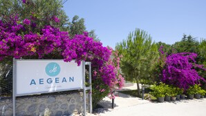 Placa de Aegean Apartments, com parede de pedra e vibrantes flores de buganvília roxa.