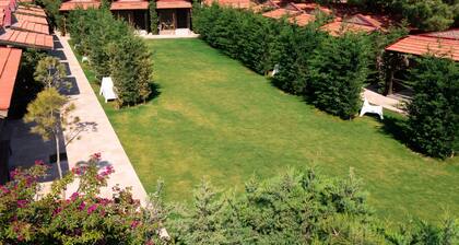 AEGEAN Apartments - Bungalows
