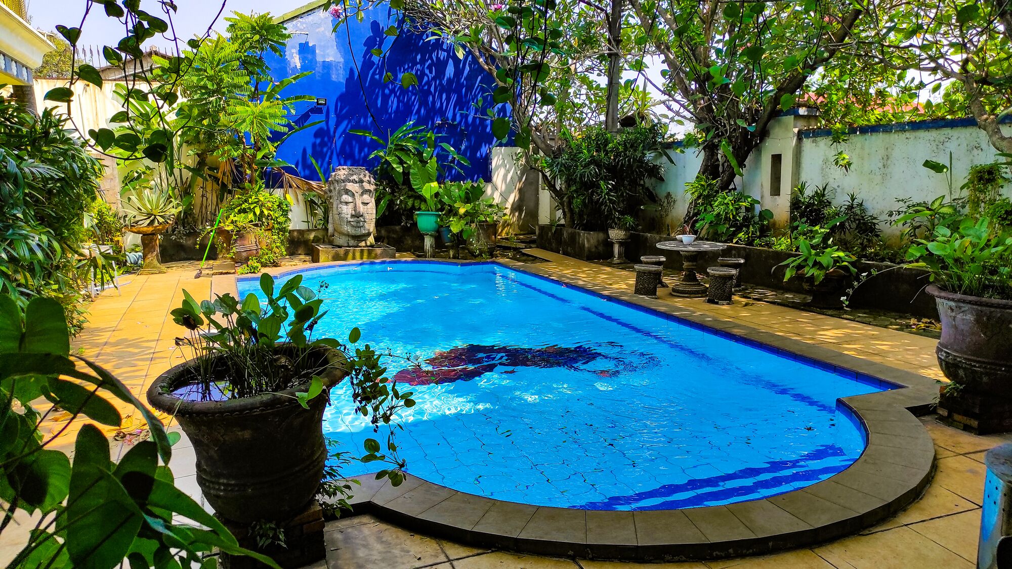 Una piscina rettangolare con bordo piastrellato, circondata da piante in vaso e una statua di pietra.